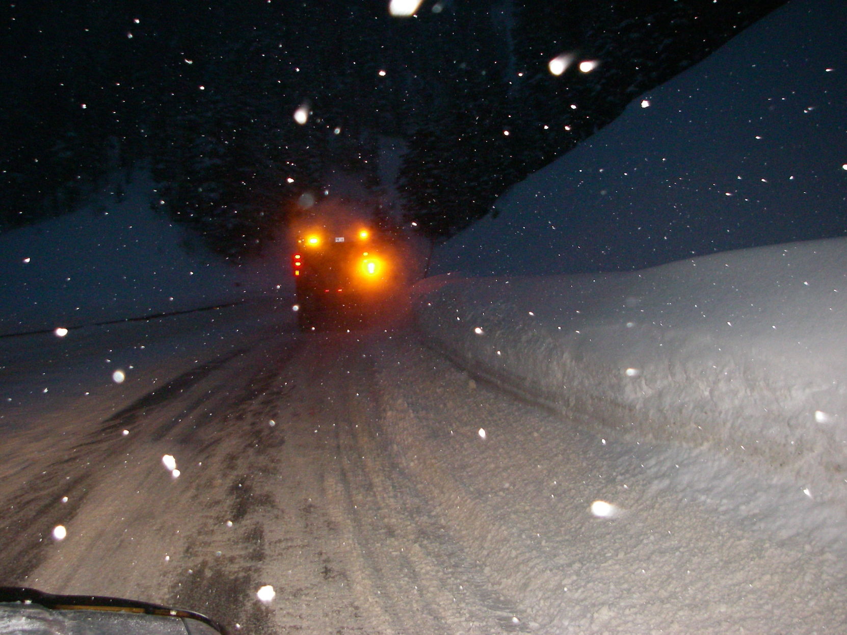 avalanche backup